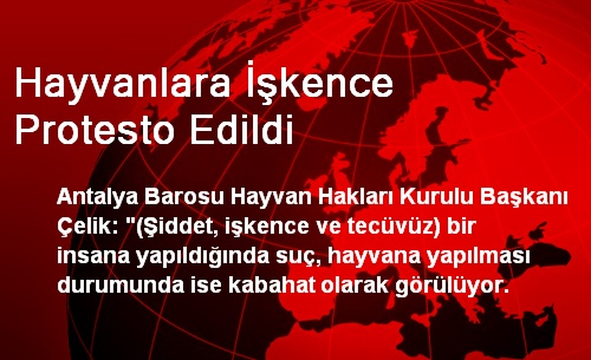 Hayvanlara İşkence Protesto Edildi