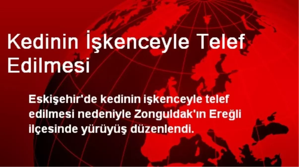 Kedinin İşkenceyle Telef Edilmesi