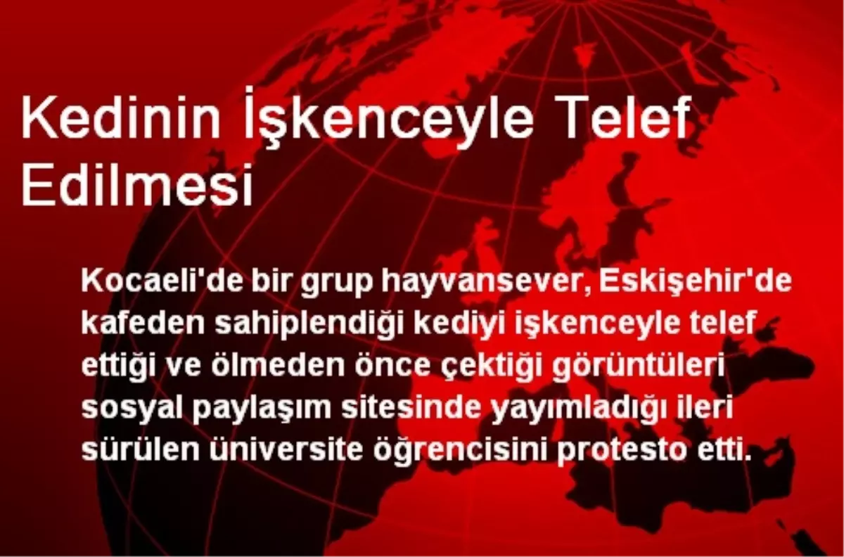 Kedinin İşkenceyle Telef Edilmesi