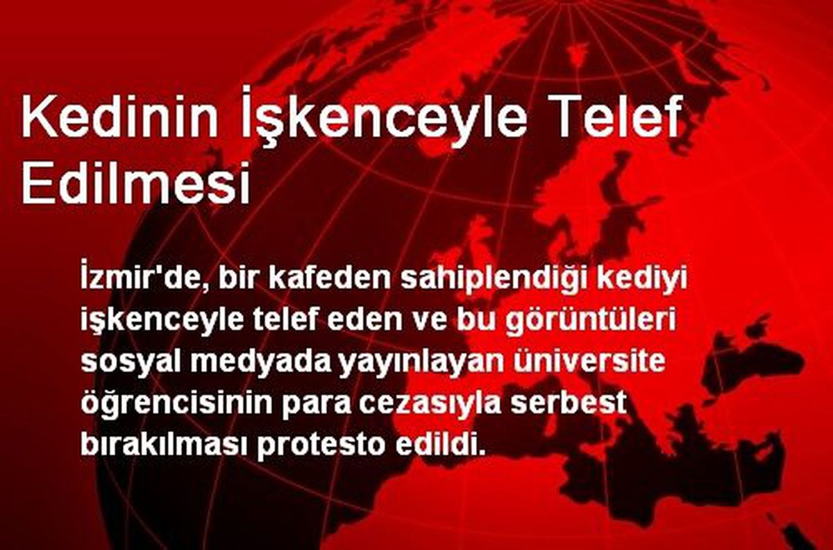 Kedinin İşkenceyle Telef Edilmesi