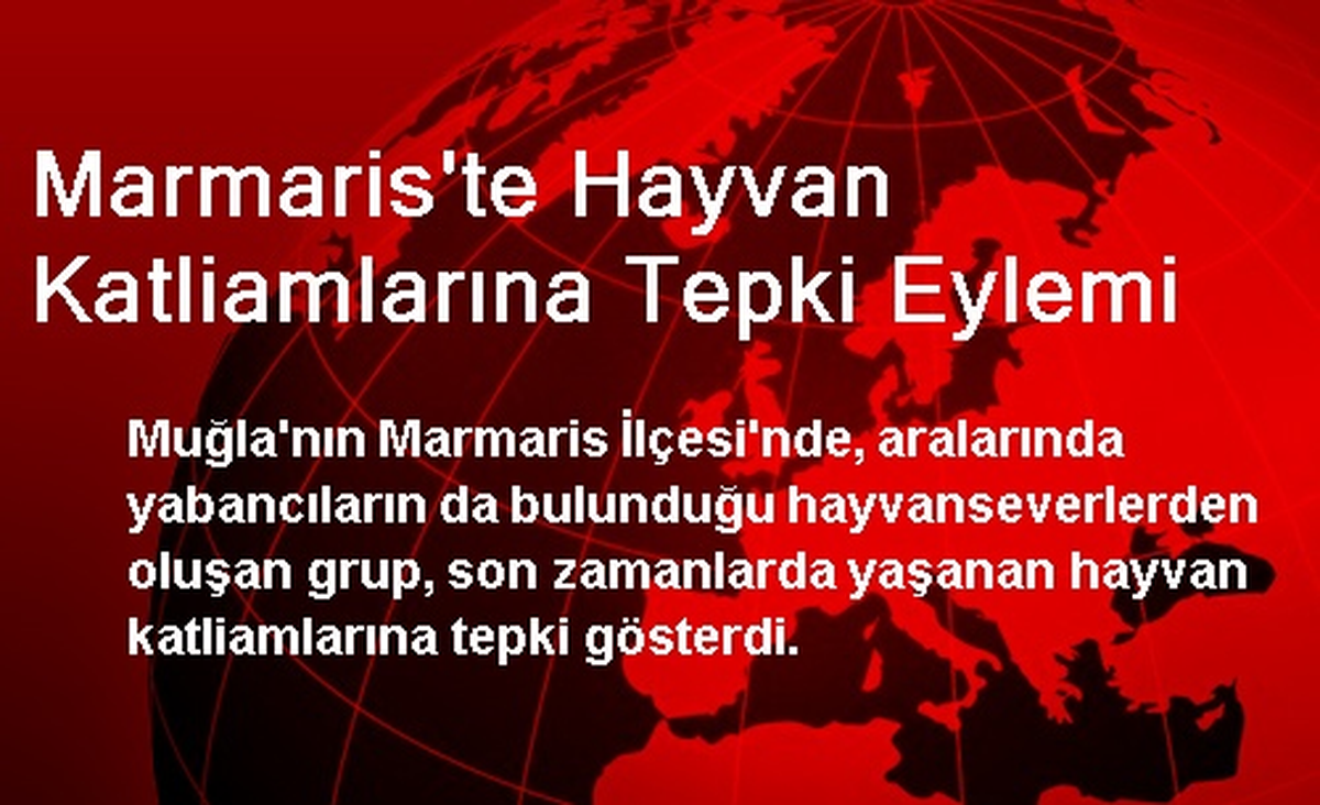 Marmaris\'te Hayvan Katliamlarına Tepki Eylemi