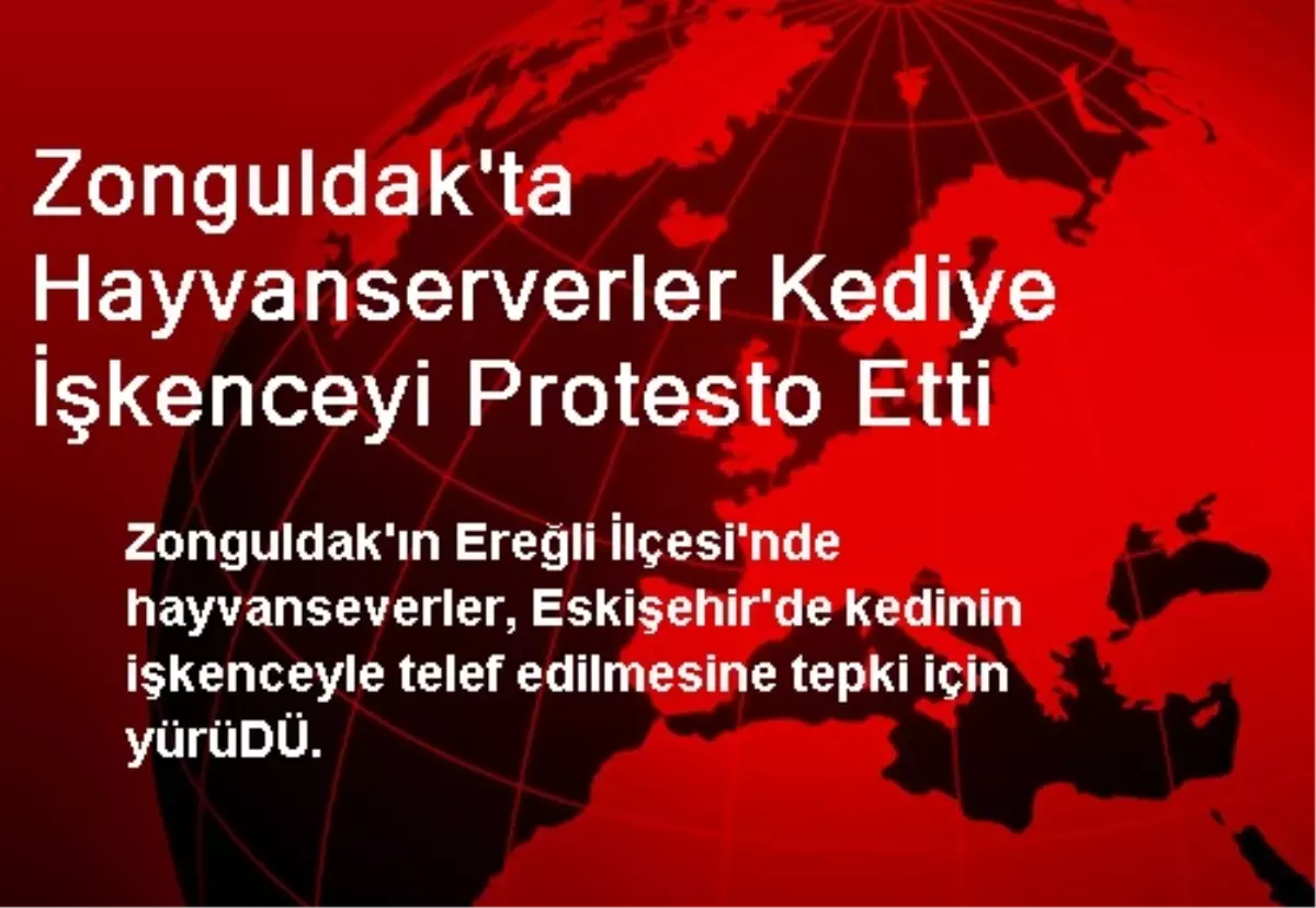 Zonguldak\'ta Hayvanserverler Kediye İşkenceyi Protesto Etti