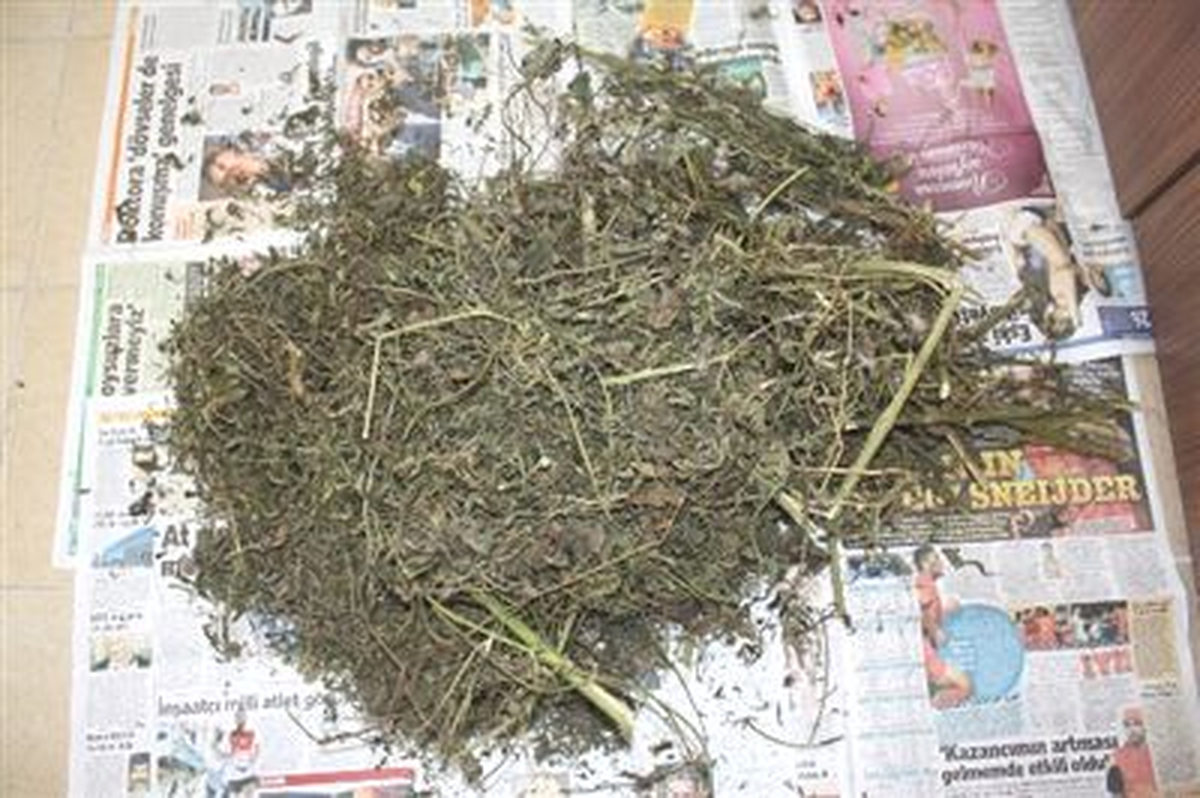 Alanya\'da 156 Gram Esrar Ele Geçirildi