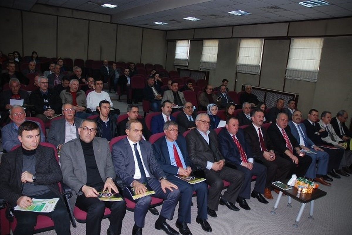 Gemlik Zeytininin Yeni Logosu Tanıtıldı