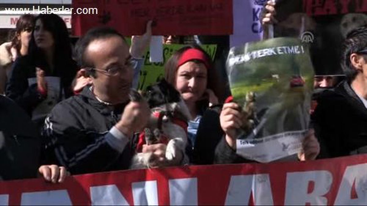 Kedinin işkenceyle telef edilmesi, protesto edildi -