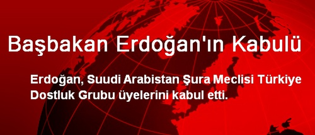 Başbakan Erdoğan\'ın Kabulü
