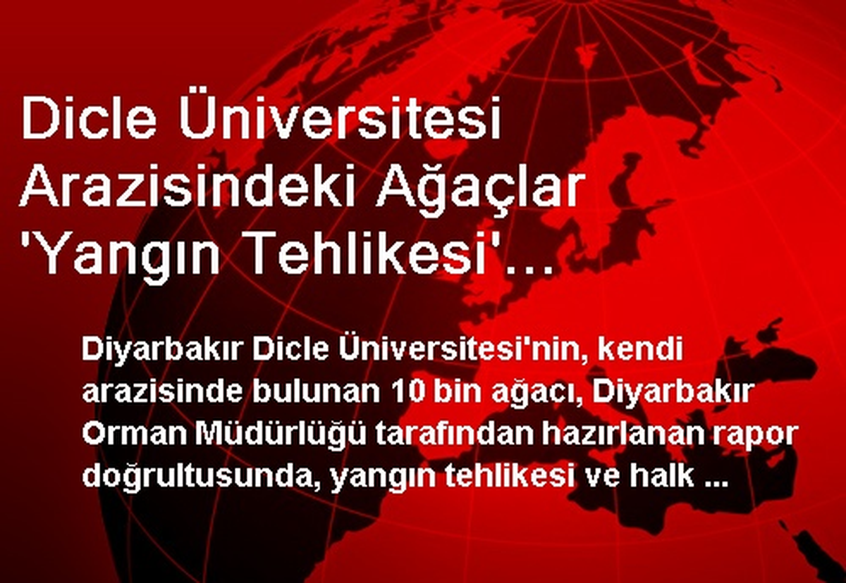 Dicle Üniversitesi Arazisindeki Ağaçlar \'Yangın Tehlikesi\' Yüzünden Kesilmiş