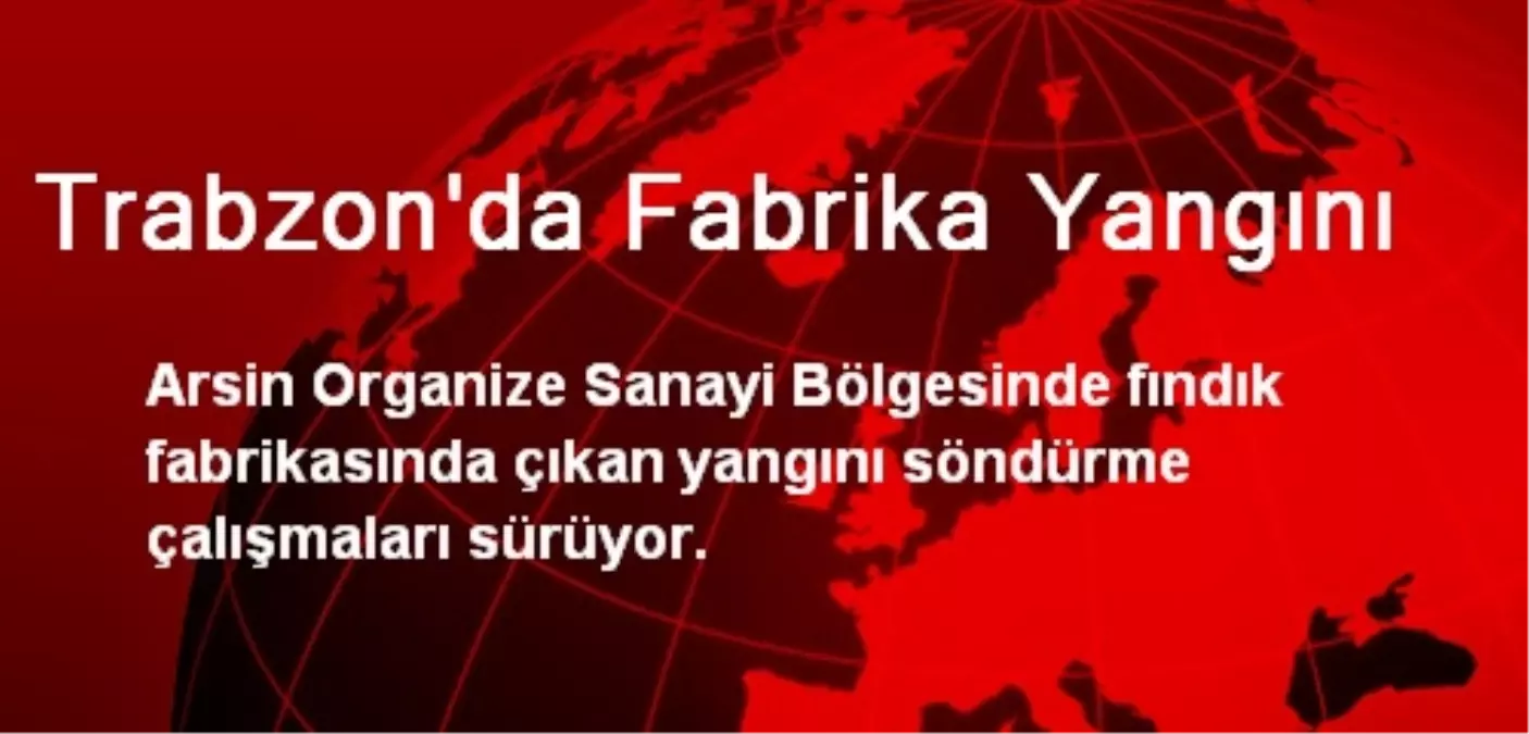 Trabzon\'da Fabrika Yangını