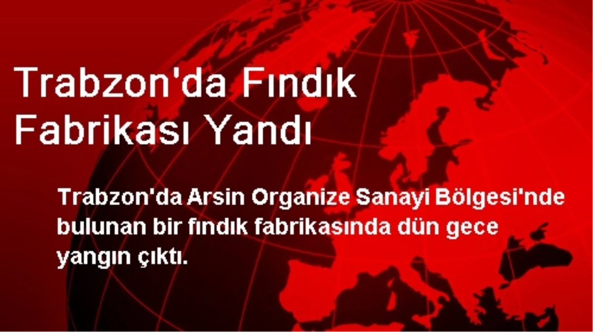 Trabzon\'da Fındık Fabrikası Yandı