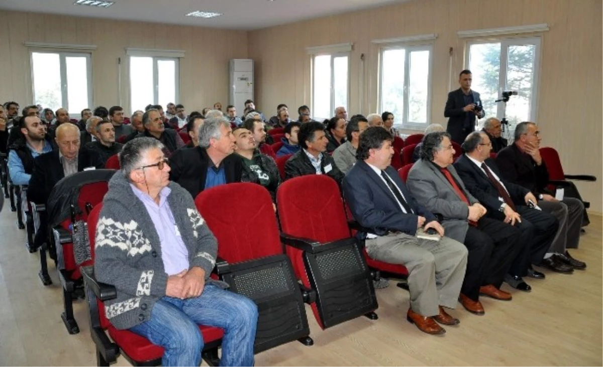 Zonguldak\'ın Kestane Balı İçin Uzmanlar Yetiştiriliyor