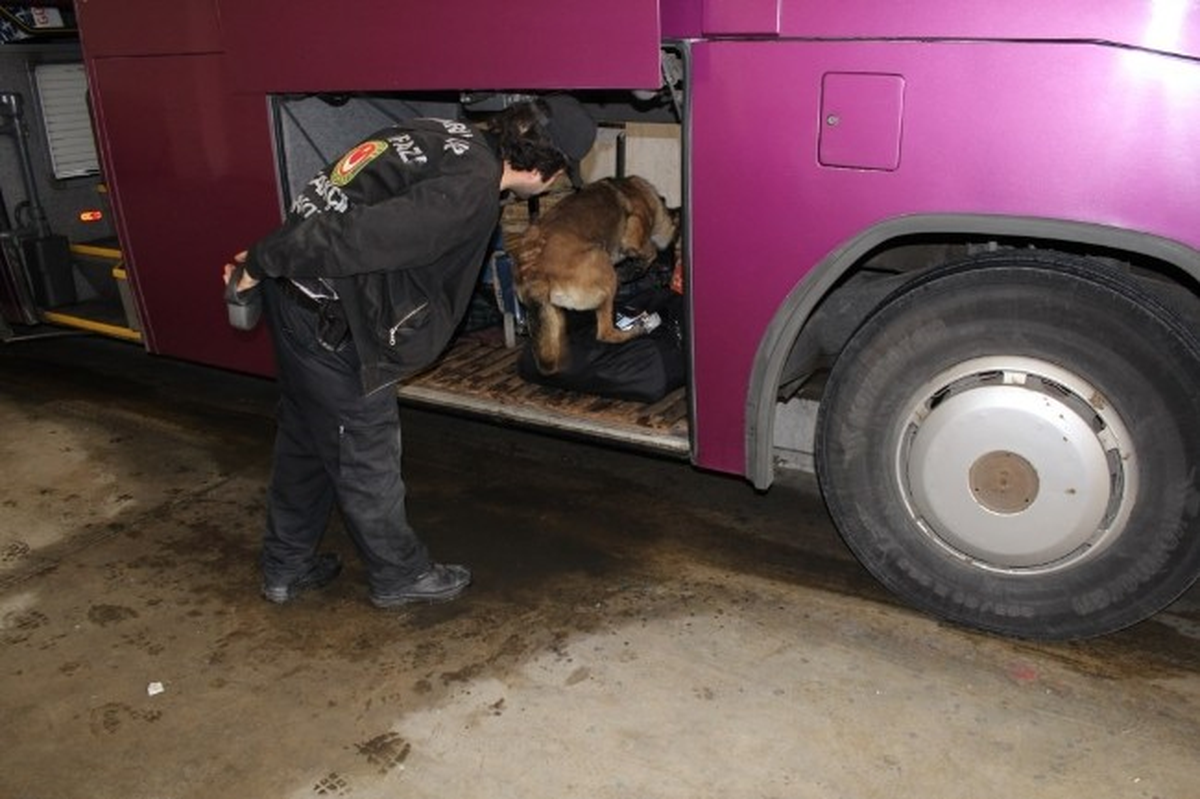 5 Ton Esrar Yapımında Kullanılacak Madde Ele Geçirildi