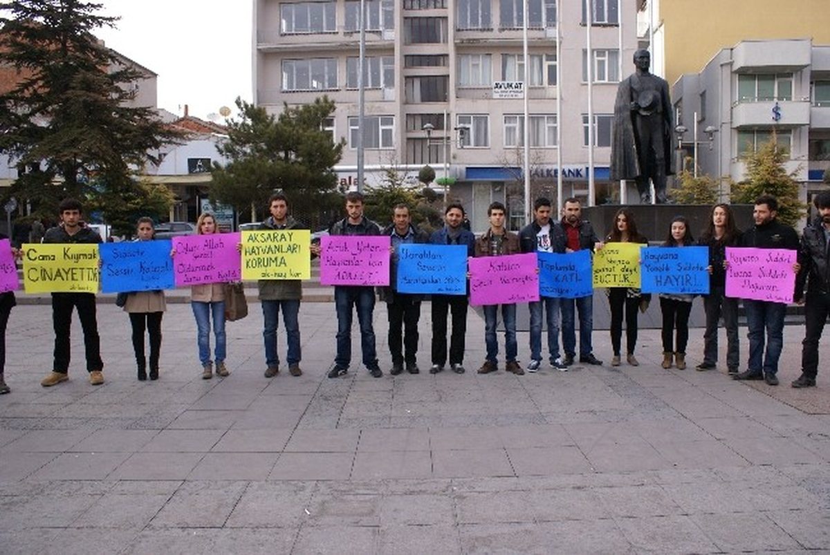 Aksaray\'da Hayvan Severlerden Eylem