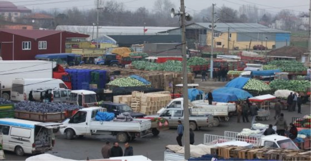 Bafra Halinde Kışlık Sebze Fiyatları Düştü