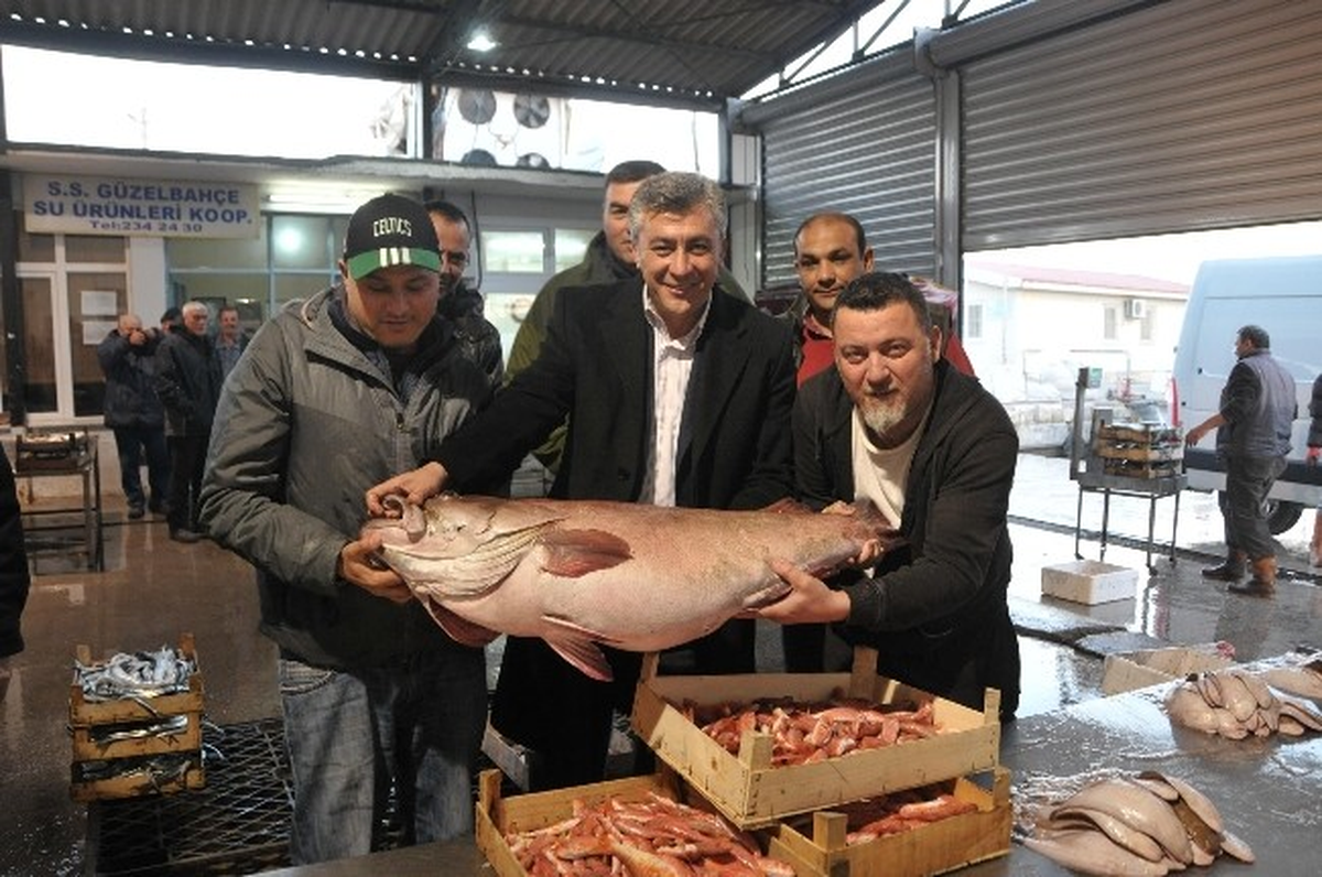 Başkan İnce, Balıkçıyla Mezatta Buluştu