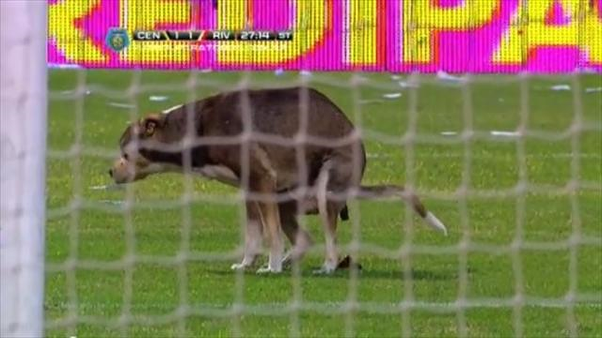 Ben Böyle Futbolun İçine Dedi Ve...