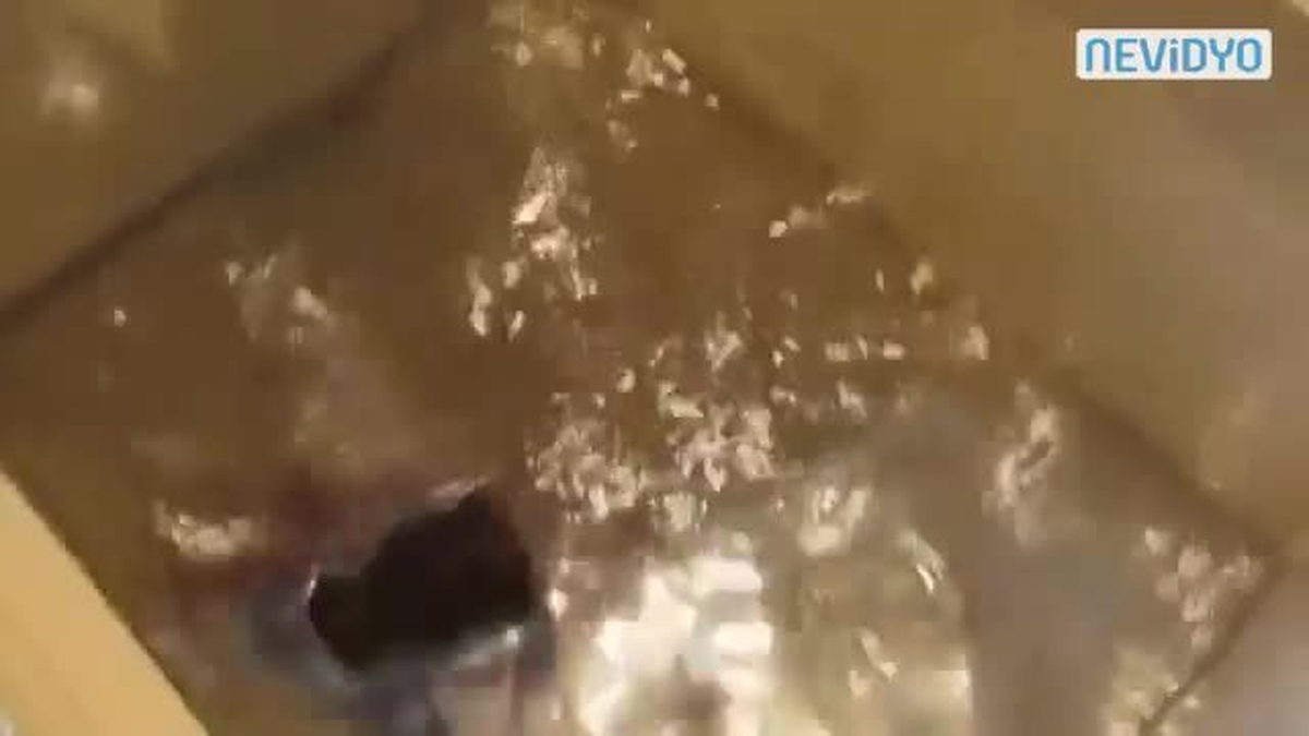 Civa İçiyor!