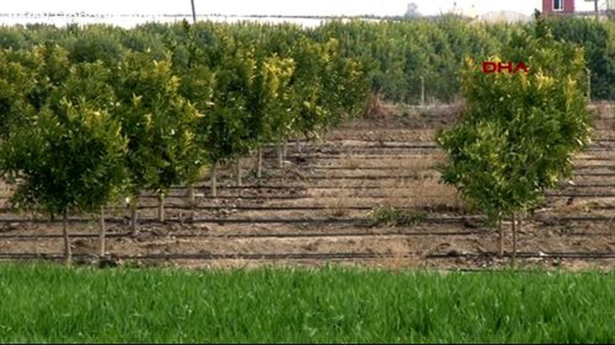 Gmo Başkanı Alparslan: Kuraklık Gıda Fiyatlarını da Olumsuz Etkiler