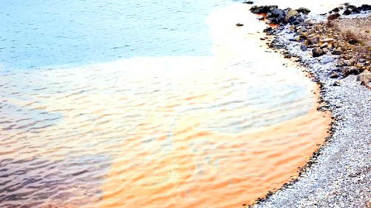 Karadeniz Sahilleri Kızıl Tabakayla Kaplandı