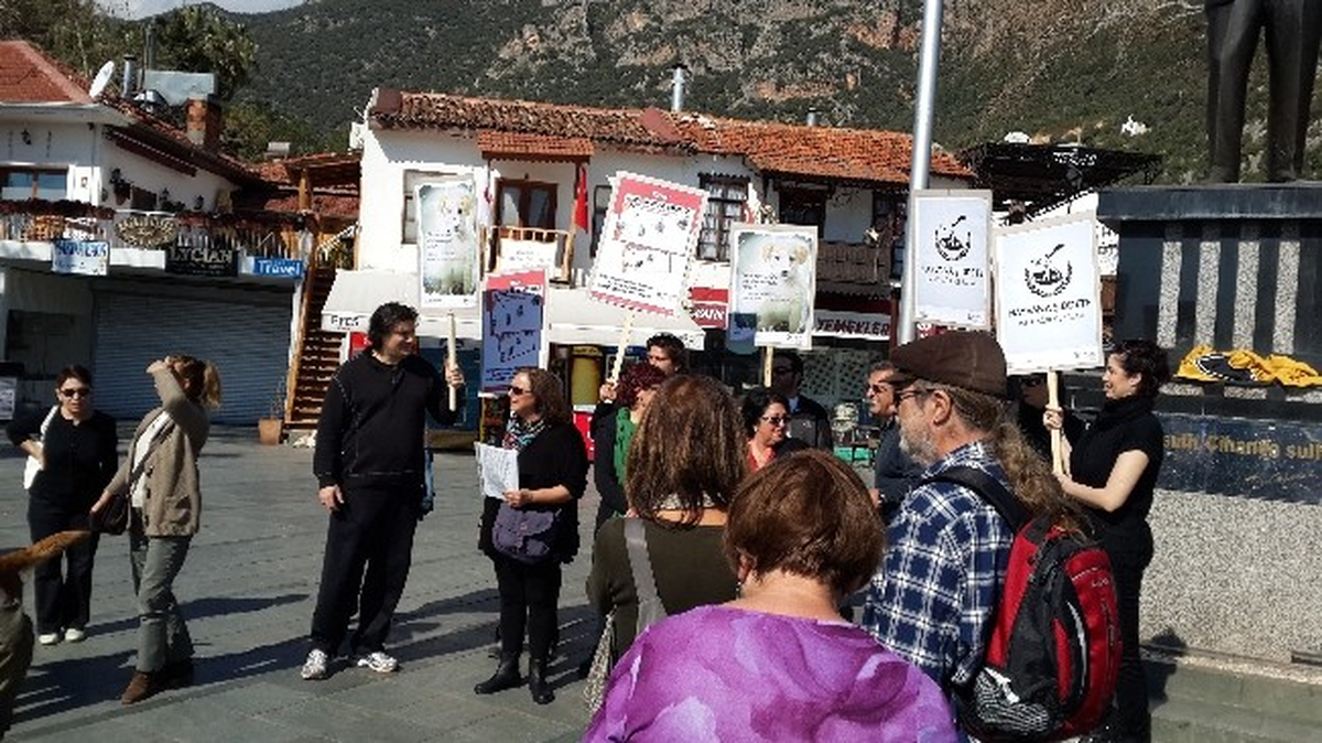 Kediyi Öldüren Genç Cezalandırılsın Talebi
