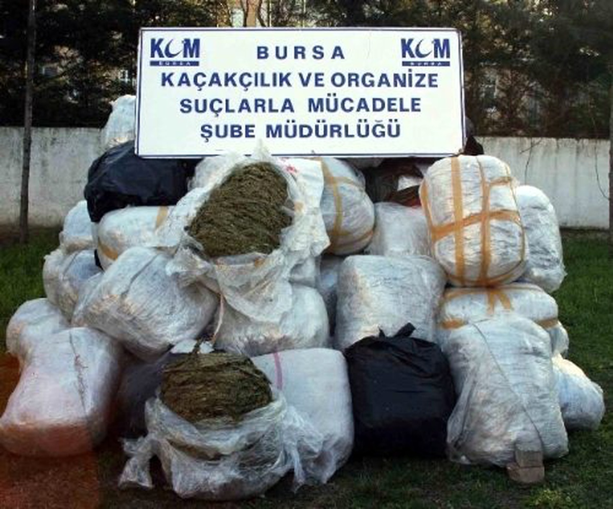 Bursa\'da 1 Ton 155 Kilogram Esrar Ele Geçirildi