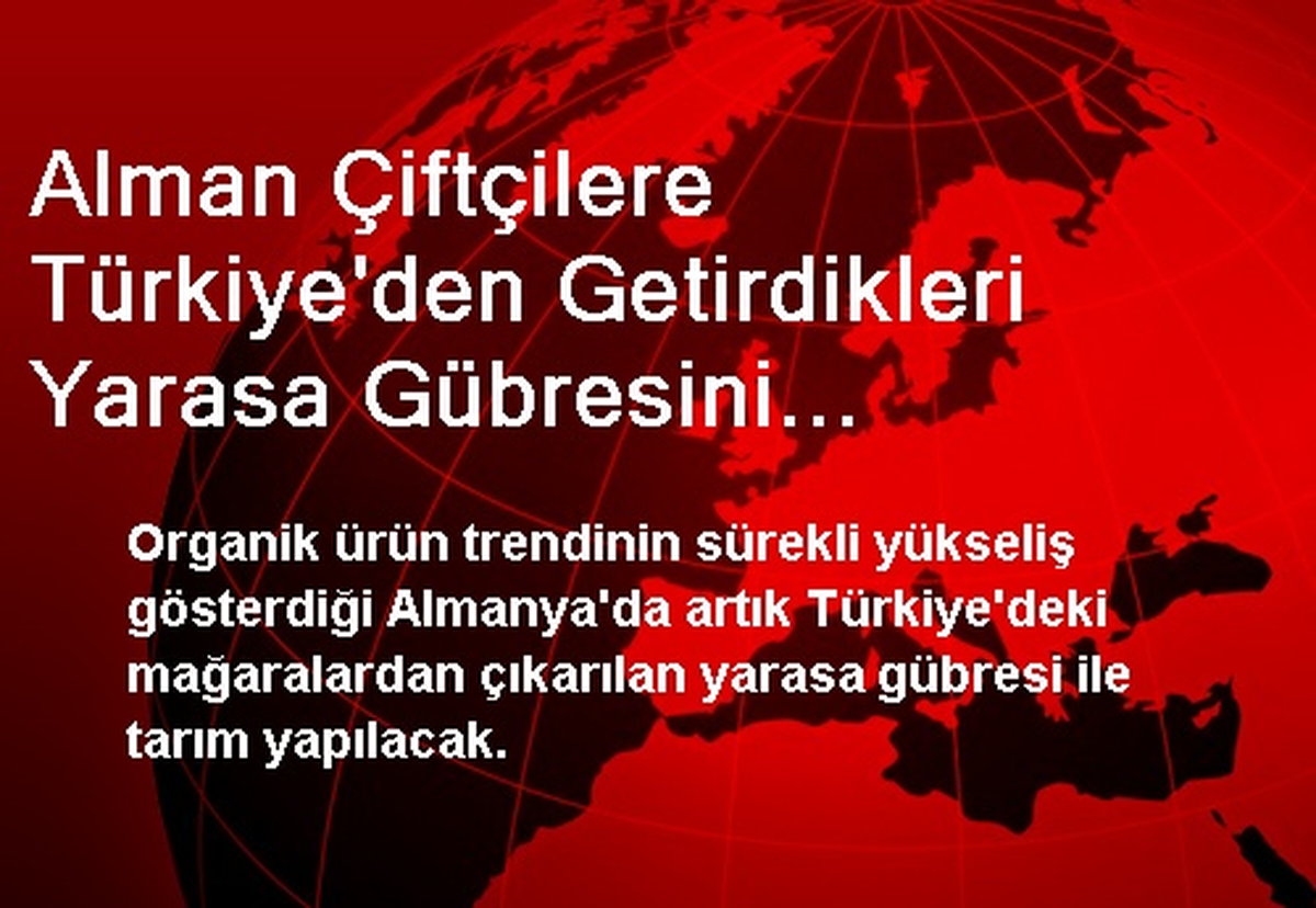 Alman Çiftçilere Türkiye\'den Getirdikleri Yarasa Gübresini Satıyorlar