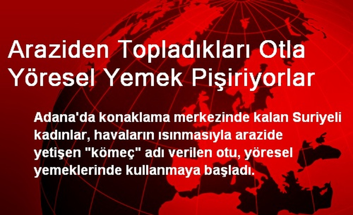 Araziden Topladıkları Otla Yöresel Yemek Pişiriyorlar