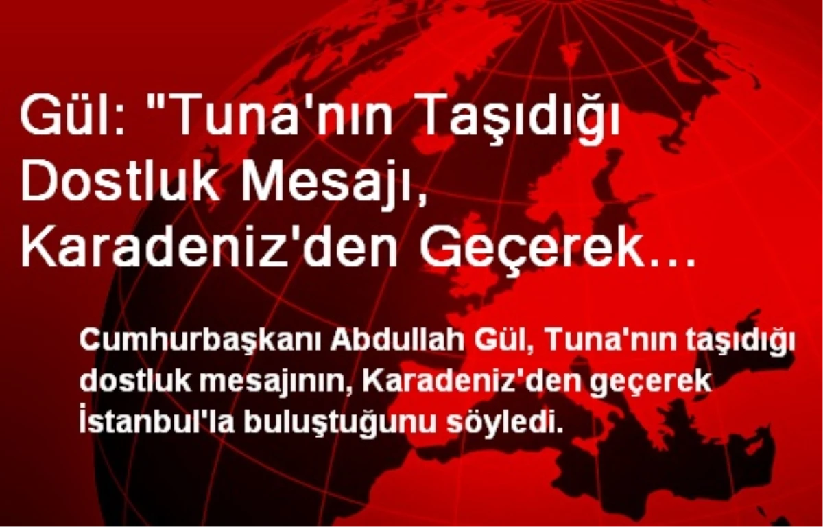 Gül: "Tuna\'nın Taşıdığı Dostluk Mesajı, Karadeniz\'den Geçerek İstanbul ile Buluşmaktadır"