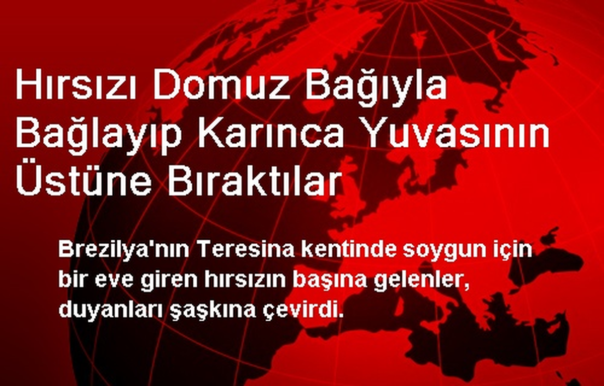 Hırsızı Domuz Bağıyla Bağlayıp Karınca Yuvasının Üstüne Bıraktılar
