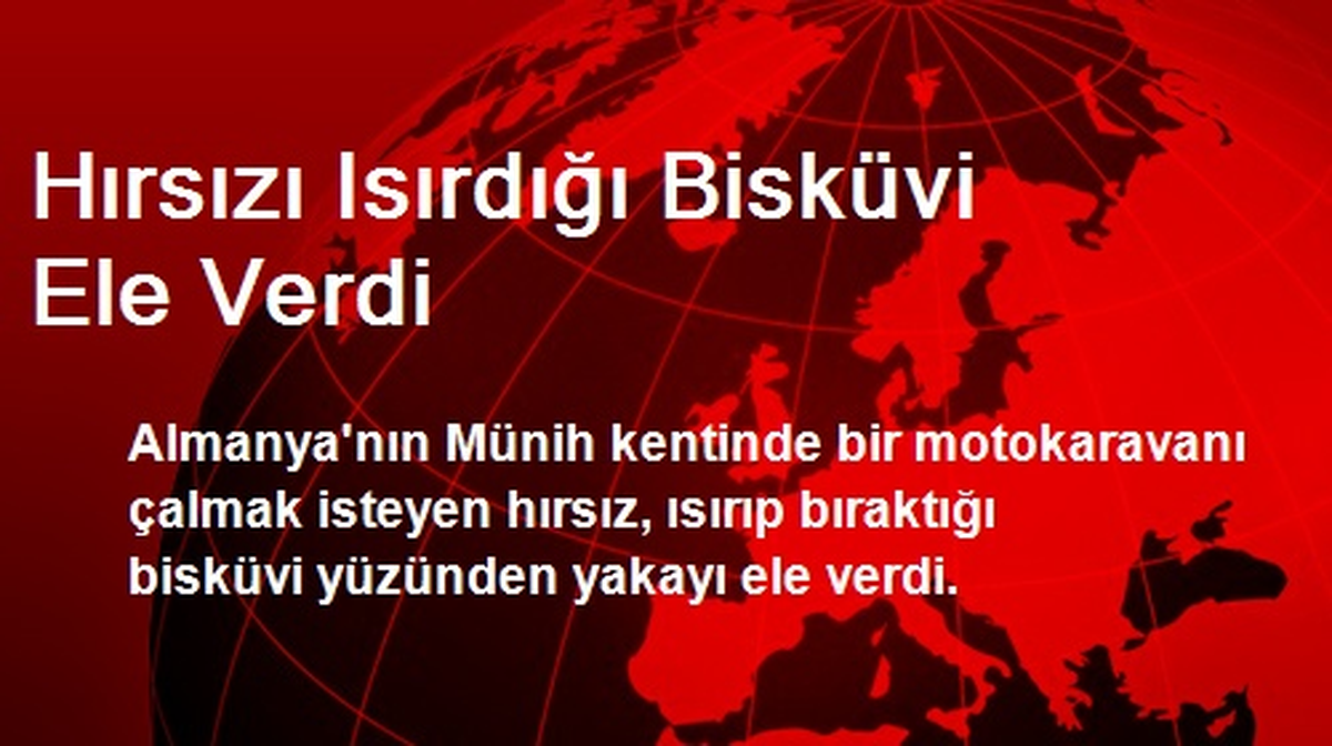 Hırsızı Isırdığı Bisküvi Ele Verdi