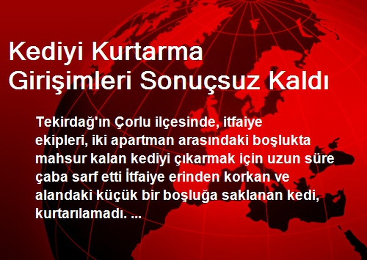 Kediyi Kurtarma Girişimleri Sonuçsuz Kaldı