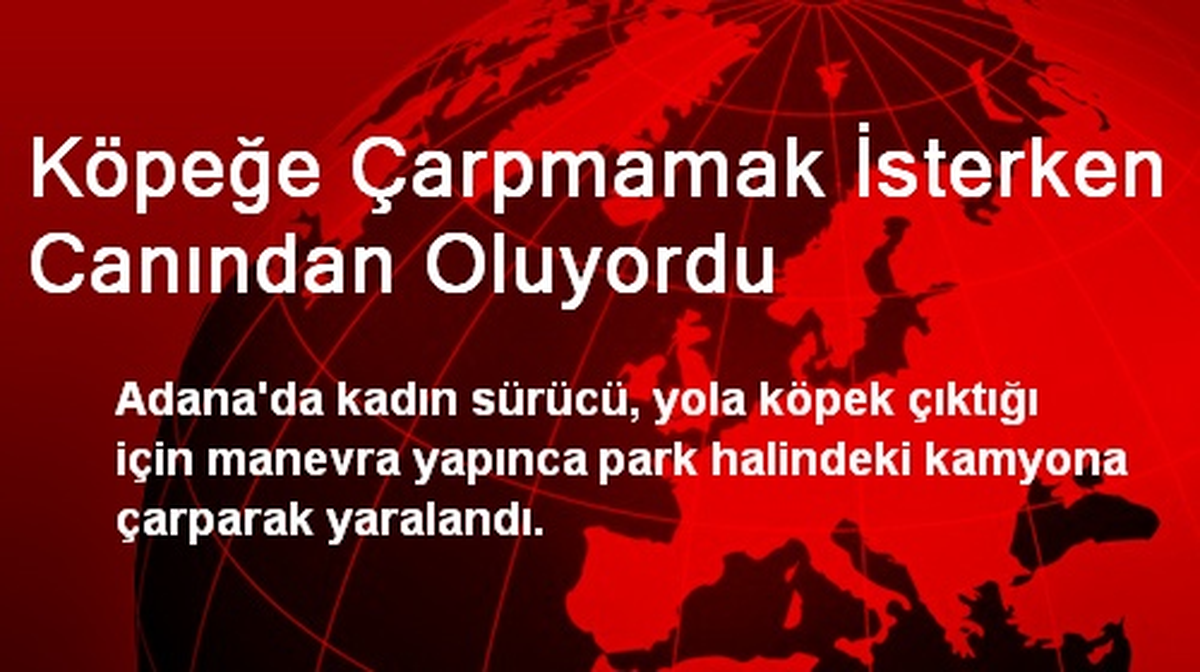 Adana\'da Köpeğe Çarpmamak İsterken Canından Oluyordu