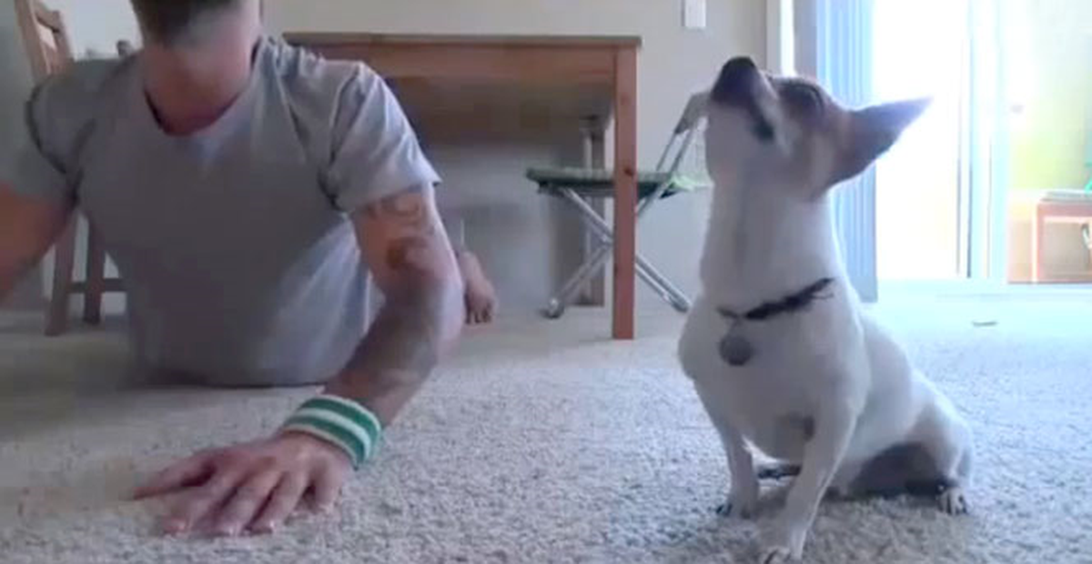 Sahibiyle Yoga Yapan Köpek