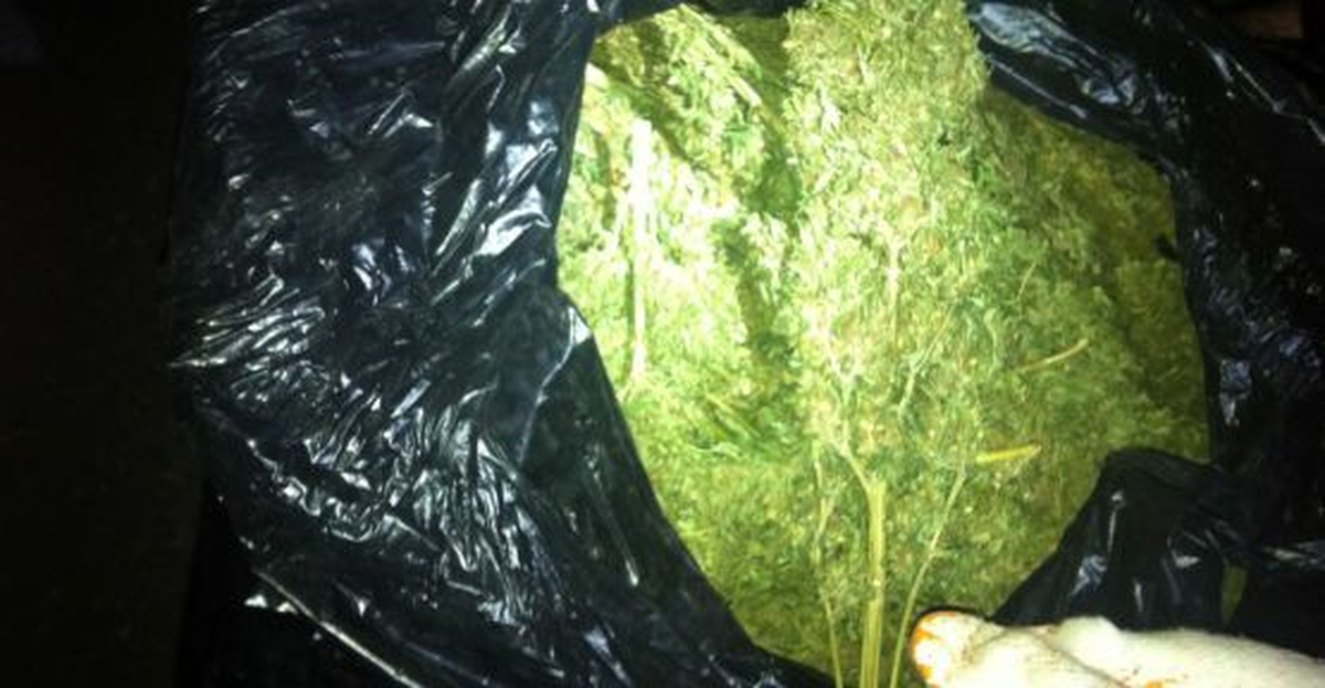 Şanlıurfa\'da 714 Gram Hint Keneviri ve Bir Adet Tabanca Ele Geçirildi