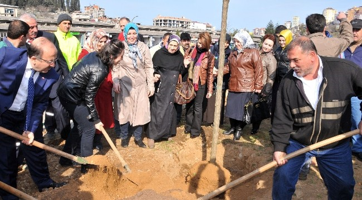 Trabzon Belediyesi 5 Yılda 129 Bin 640 Ağaç Dikti