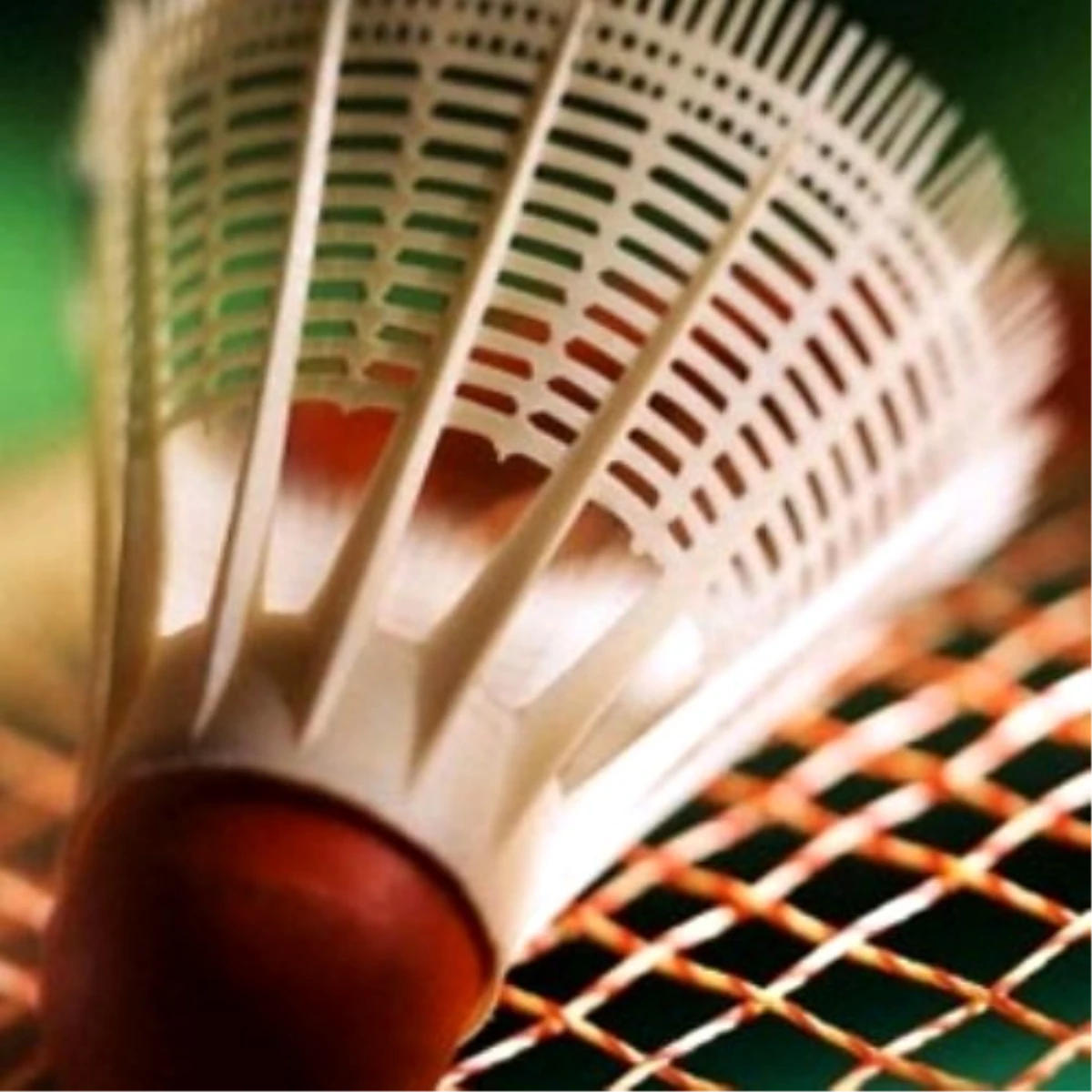 Hakkari\'de Badminton İl Birinciliği Turnuvası