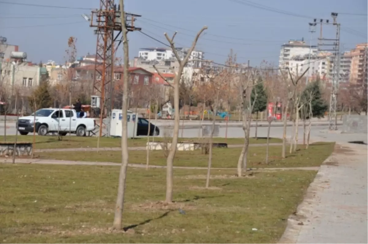 Batman Belediyesi Ağaç Dikme Seferberliği Başlattı