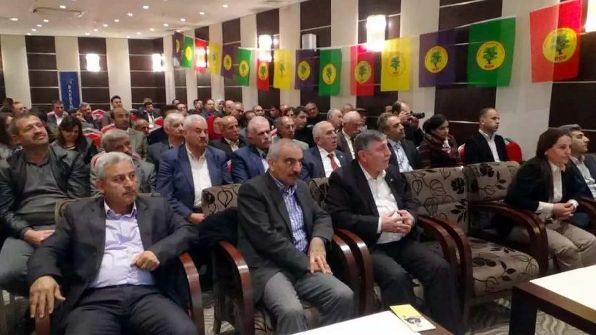 BDP Siirt Adayı, Projelerini Açıkladı