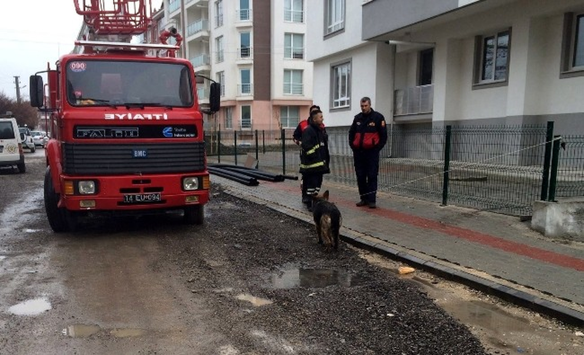 Çatıda Mahsur Kalan Köpeği İtfaiye Kurtardı