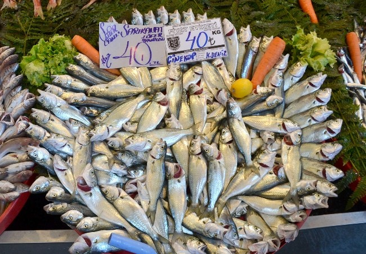 Çorlu\'da Çinakop\'un Kilosu 40 Tl