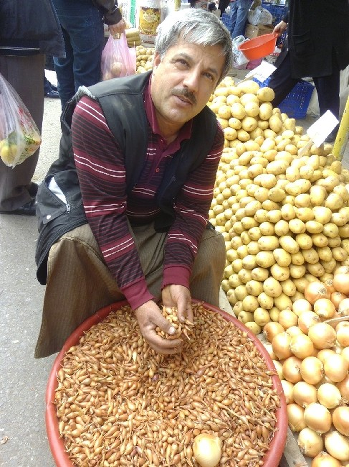 Hayrabolu\'da Arpacık Soğanı Ekimine Başlandı