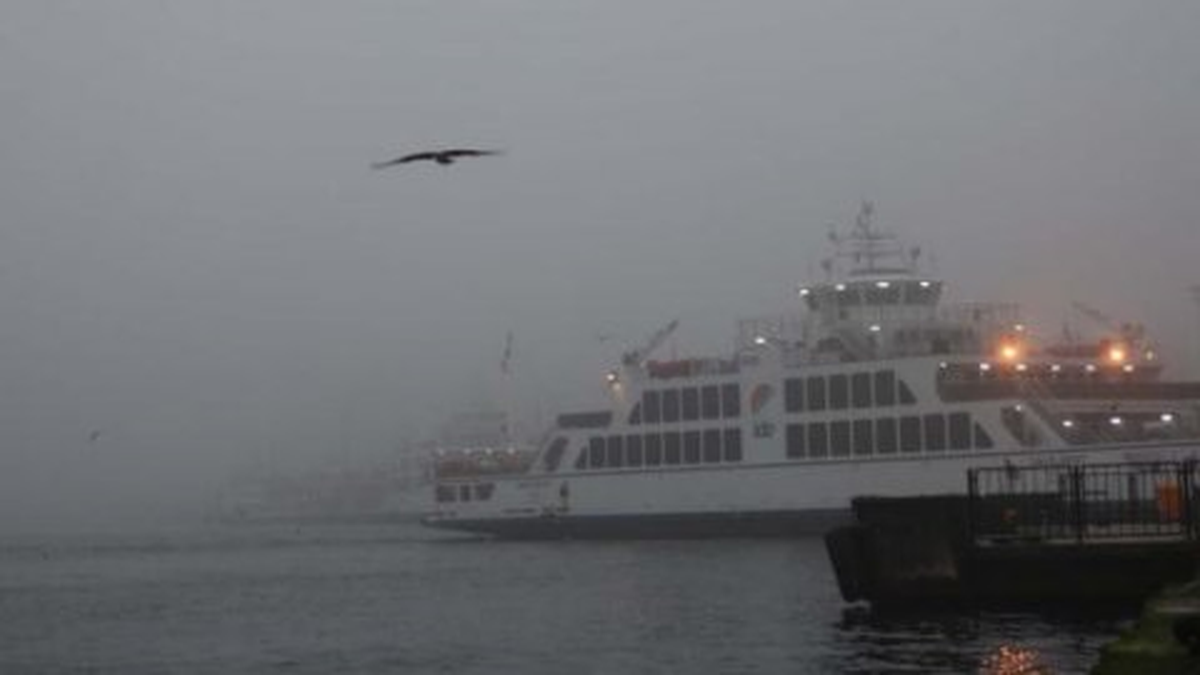 İstanbul\'da Sis Vapur Seferleri Yapılamıyor (1)