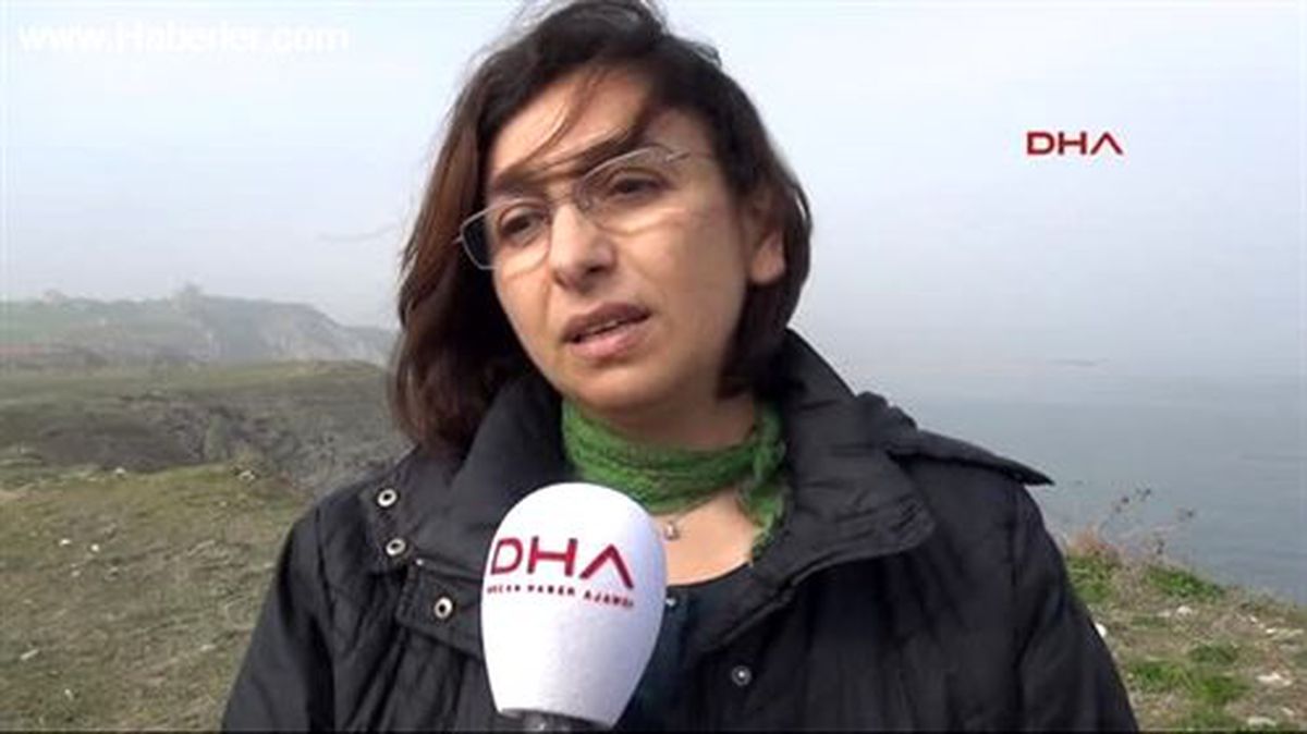 Karabiga\'da Termik Santral İçin Çed Savaşı