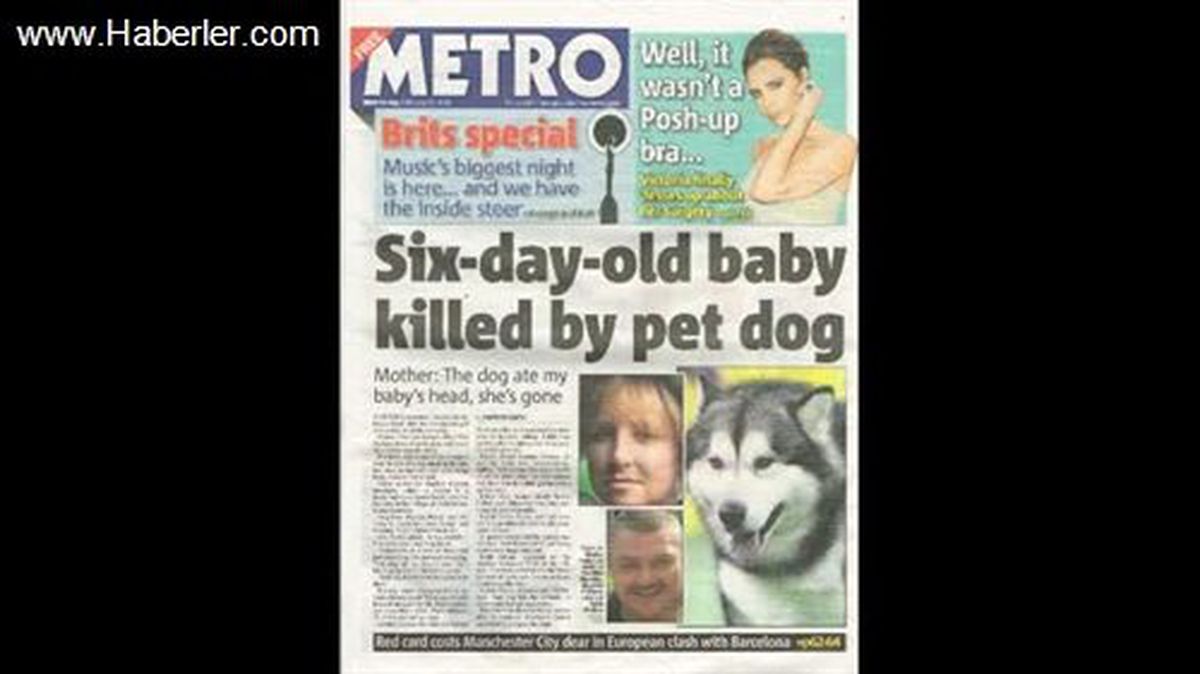 Köpek 6 Günlük Bebeği Öldürdü