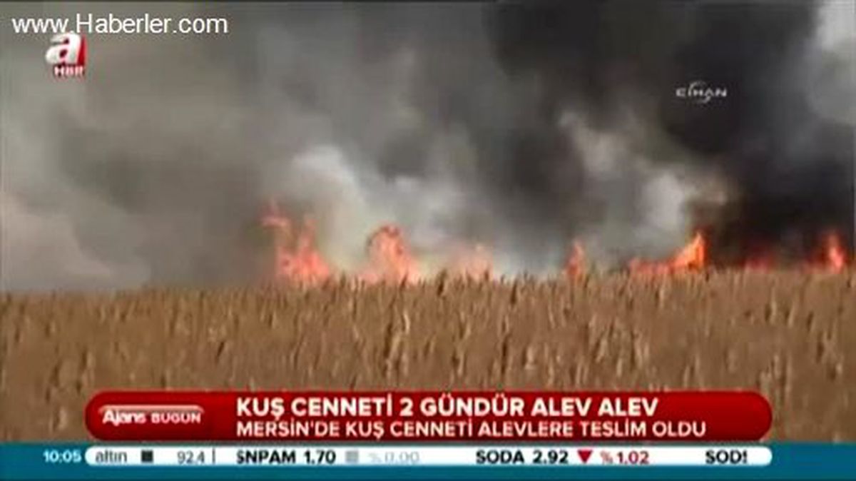 Kuş Cenneti Yanıyor