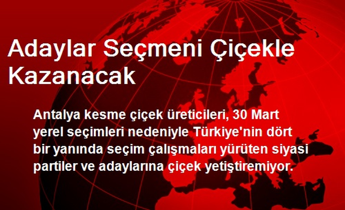 Adaylar Seçmeni Çiçekle Kazanacak