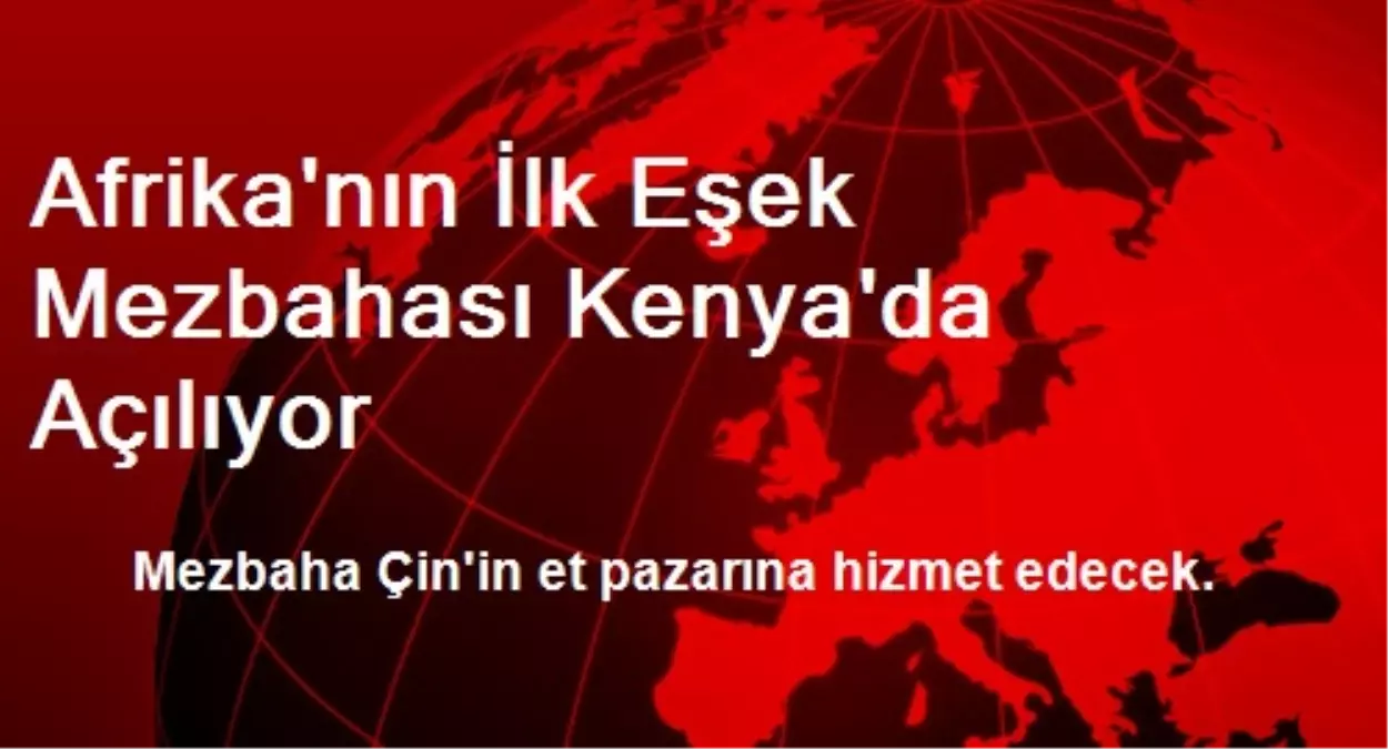 Afrika\'nın İlk Eşek Mezbahası Kenya\'da Açılıyor