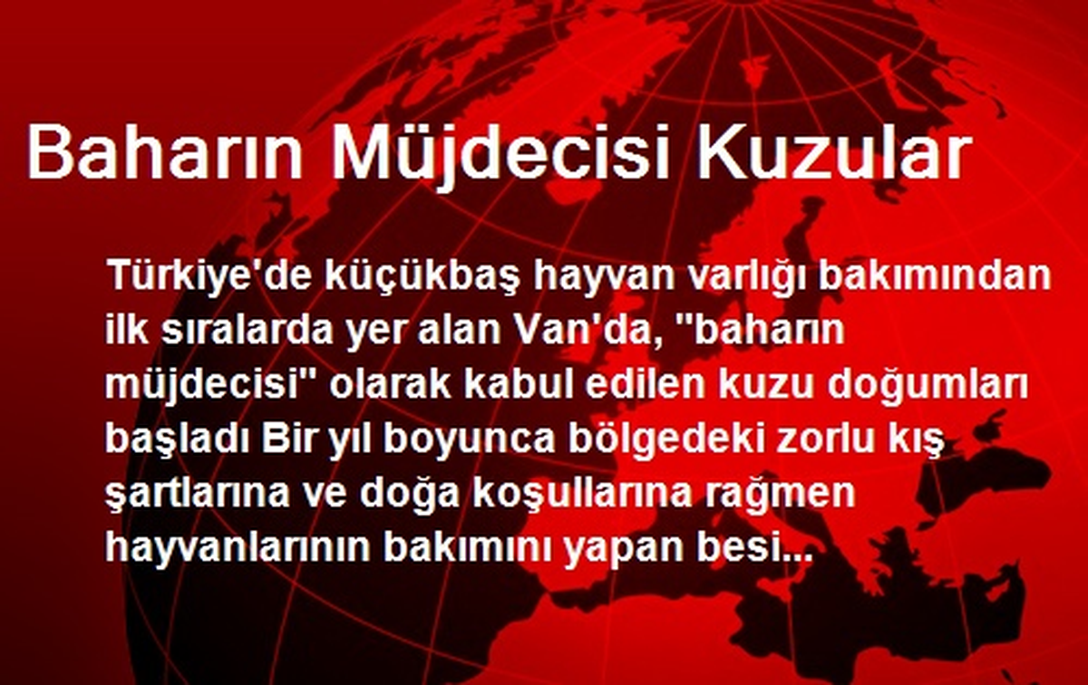 Baharın Müjdecisi Kuzular