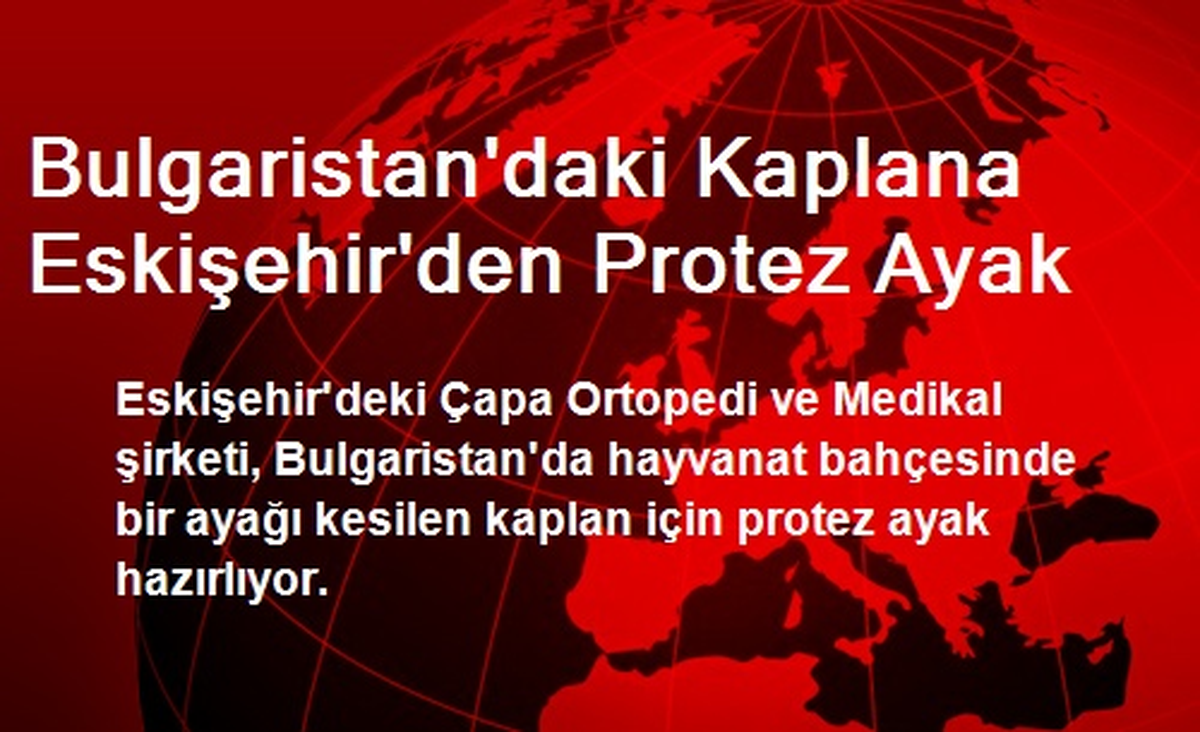 Bulgaristan\'daki Kaplana Eskişehir\'den Protez Ayak
