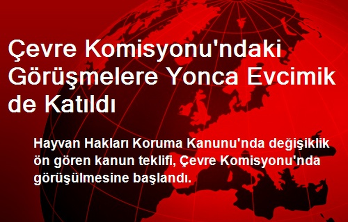 Çevre Komisyonu\'ndaki Görüşmelere Yonca Evcimik de Katıldı