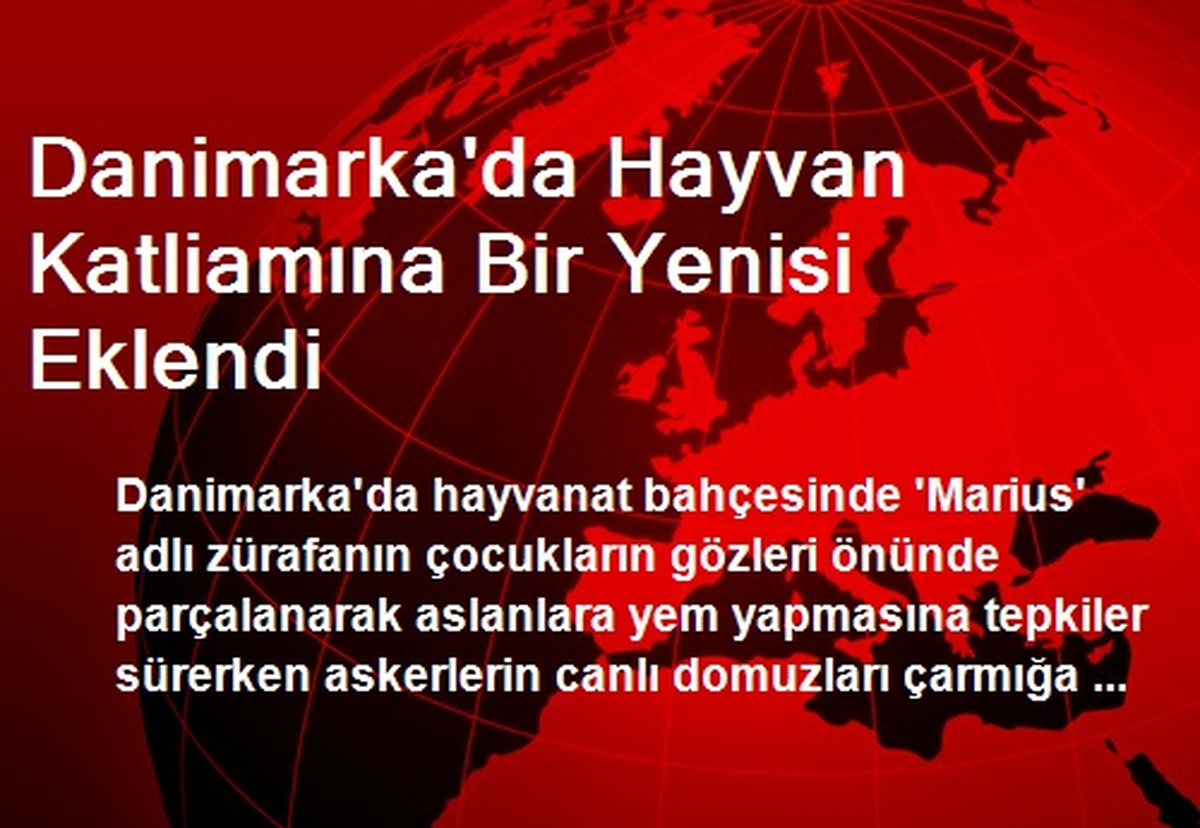 Danimarka\'da Hayvan Katliamına Bir Yenisi Eklendi